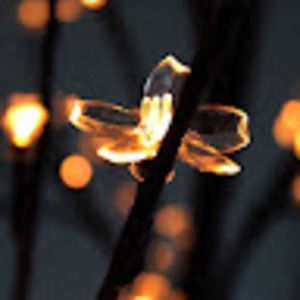 Meet your Posher, Sammi